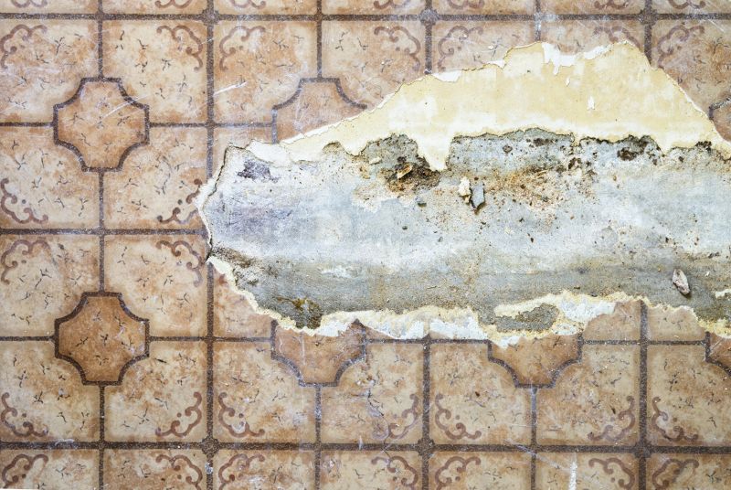 Repairing Existing Subfloor